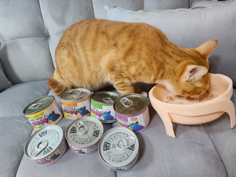 女人知己試用大隊,口碑行銷,部落客行銷,PURRFACT 波菲特貓用主食罐,主食罐,PURRFACT波菲特,貓主食罐,貓罐,PURRFACT波菲特貓用主食罐,魚肉蔓越莓主食罐,鮮嫩雞主食罐,鹿肉雞肉主食罐,牛肉鵪鶉貓主食罐,干貝蠶蛹配方,鱷魚肉白木耳配方,雞肉魚肉配方,安心鶉配方,評價,體驗,適口性佳,心得,成貓適用,高齡貓適用,質地是慕絲狀